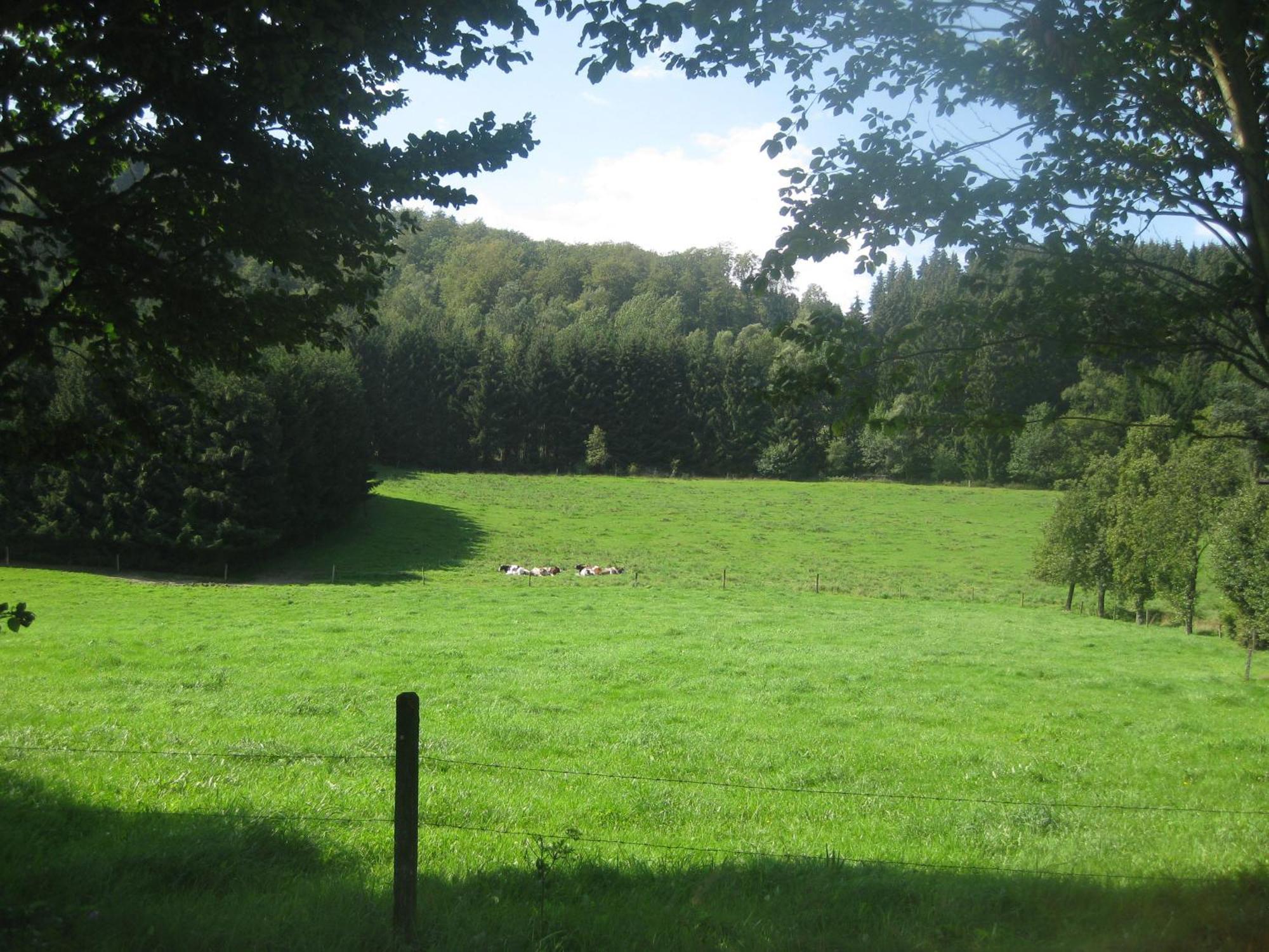Pension-Gaestehaus Waldhof ヴィンターベルク エクステリア 写真