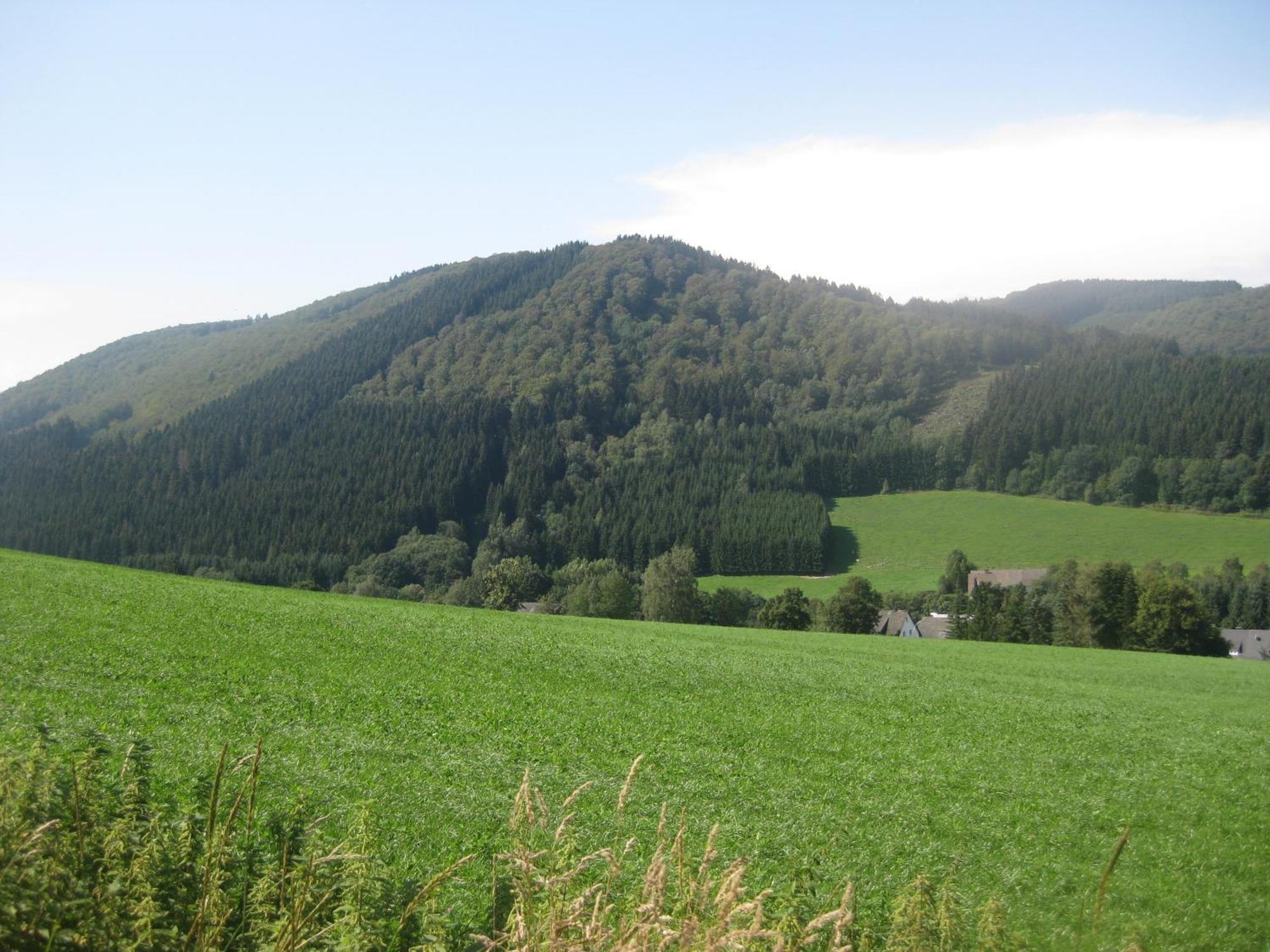 Pension-Gaestehaus Waldhof ヴィンターベルク エクステリア 写真